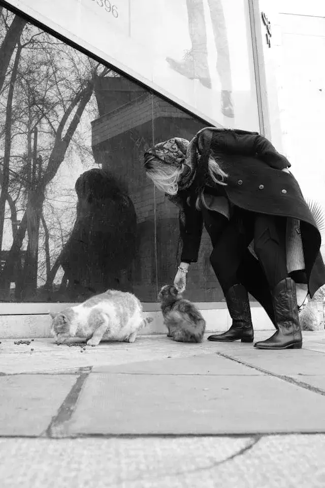 Reputable Breeders in Phoenix